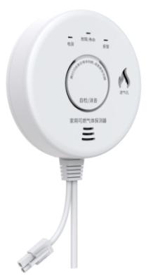 China JT-LZ-3952 Gasalarm、Uitvoeren van norm GB 15322.2-2019、Detectie gas Methaan (Natuurgas) Te koop