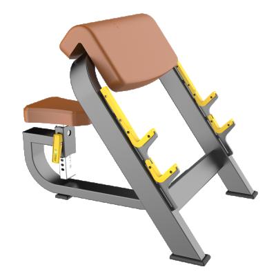 China Commercial Seated Preacher Loop Bench Gym Equipment for sale