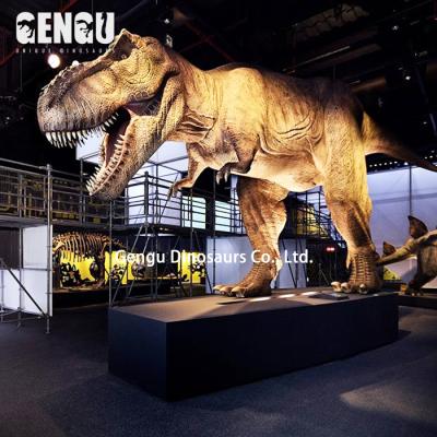 China Moving Models Animatronic Dinosaur Metal Dinosaurs Exhibition for sale