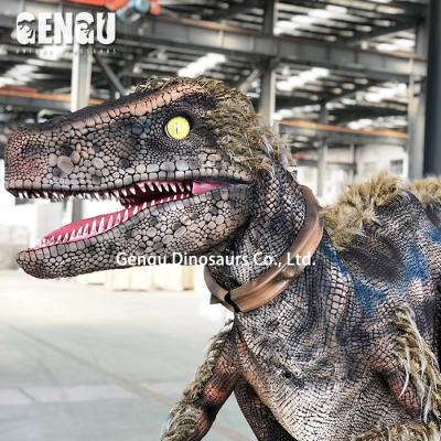 China exterior & Indoor Dinosaur Amusement Park Costume Dinosaur Main Amusement Venue Costume for sale