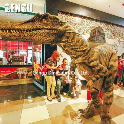 China exterior & Indoor Venue Costumes Dinosaurs Foam Carnival Costumes Dinosaur For Adult for sale