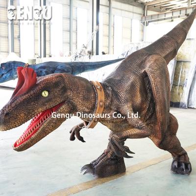 China exterior & Realistic Adult Venue Indoor Dilophosaurus Dinosaur Life Size Costumes for sale