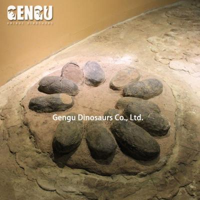 China Dinosaur Exhibit Dinosaur Theme Park Dinosaur Breeding Dinosaur Eggs Fossil for sale