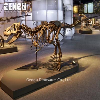 China Dinosaur exhibit sculpture dinosaur stone carving dinosaur fossil bones for sale for sale