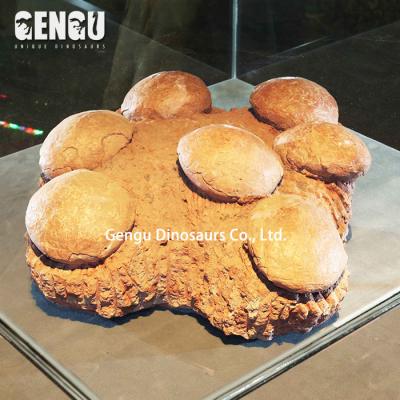 China High Quality Artificial Dinosaur Fossil Exhibit Dinosaur Fossil Eggs for sale