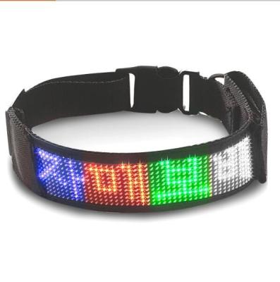 China Amazon best-selling lights mouthpiece editable display charging LED luminous pet collar and anti-lost dog collar pet for sale