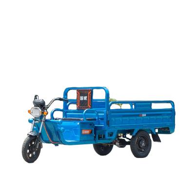 China Wholesale Price Custom Adult Tricycle Passenger Electric Trike Cargo for sale