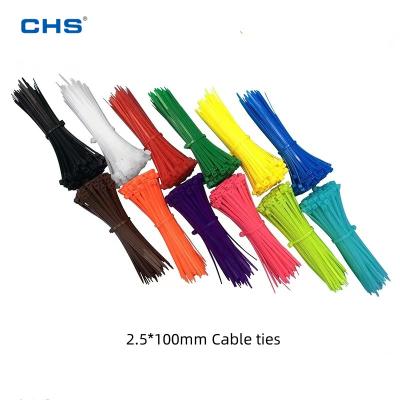 China Insulation and environmental protection CHS 2.5*100 cheap and high quality colorful self locking nylon cable ties wire and wire binding tie for sale