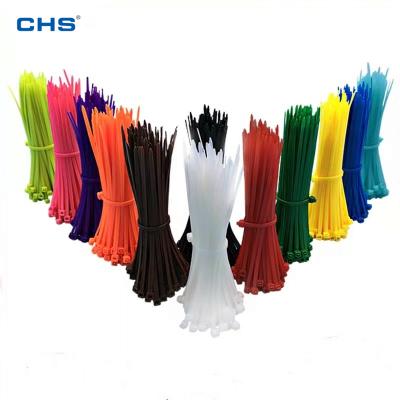 China Stop Retreat Design CHS 4.8*200 Grade Industrial Nylon Wire And Cable Tie Tie For Children's Playground Activity Competition for sale