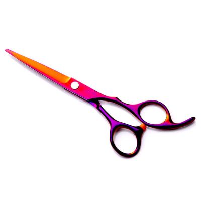 China 1pc Professional HAIR Hairdressing Scissors for sale