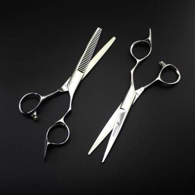 China Professional Hairdresser Scissors Cutting Scissors Cutting And Thinning Shears 6inch for sale