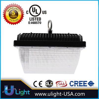 China Outdoor LEd Canopy Lights for sale