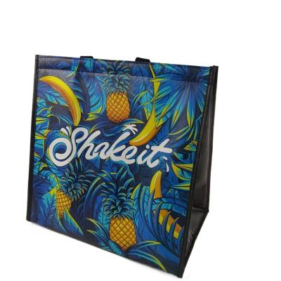 China Wholesale Tote Waterproof Non Woven Laminated Shopping Cooler Bag With Custom Logo for sale