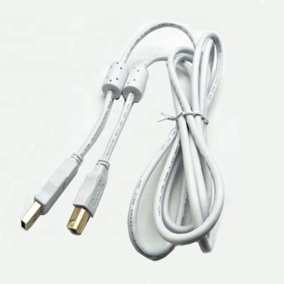 China MP3/MP4 Player USB A To USB B Data Cable To Printer USB Cable With Ferrite Clog for sale