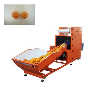 China Adjustable Speed ​​Automation Keeping Fresh Orange Lemon Bag Plastic Wrap Film Wrapping Filling Sealing Packaging Machine for sale