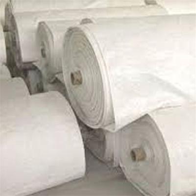 China Anti-Moisture Low Price 300g Non Woven Polyester Geotextile Fabric For Dam for sale