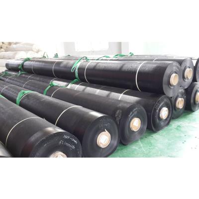 China HDPE Price High Density Polyethylene HDPE Geomembrane Cheap Price for sale