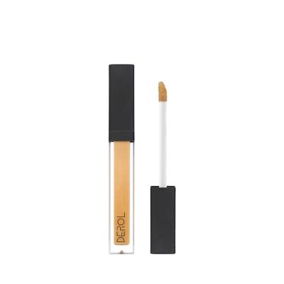 China High Quality Waterproof Concealer Face Beauty Waterproof Concealer Pencil Make Up Wholesale for sale