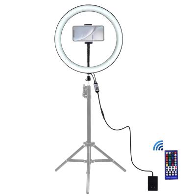 China PORTABLE 12 Inch Dimmer LED Ring Camera Light Self Timer with Phone Clip for sale