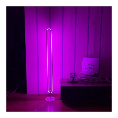 China Modern Suitable For Multiple Scenarios Modern Fashion Floor Light Led RGB Floor Stand Light for sale