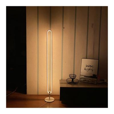 China Lx-02 Modern Special Hot Selling Floor Lamp With Adjustable Light Led Floor Lighting for sale