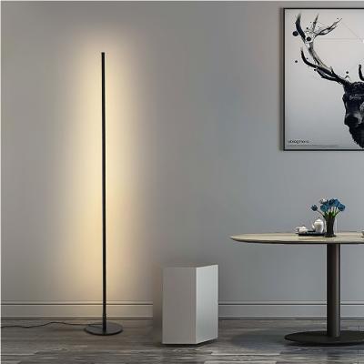 China Zhongshan simple vertical round base minimalist factory wholesale graphite standing floor light heat rheostat switch minimalist floor lamp for sale