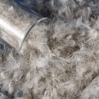 China Gray Goose Down 50% Test USA-2000 In Swiss Washed Goose Feather Down Fill Gray Goose Down Feathers for sale