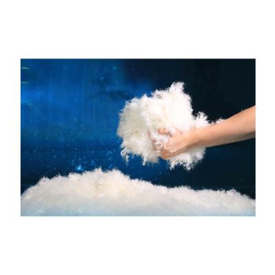 China White Duck Down China New Products Support Comfortable Customized Samples And Soft Pure White Duck Down 70% for sale