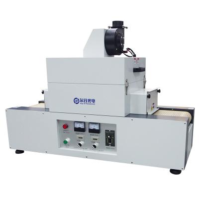 China RX200-2 Small UV Ink UV Light Machine Ultraviolet UV Curing Machine Desktop UV Curing Epoxy Curing Equipment for sale