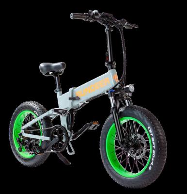 China Rundeer 48v 750w E Bike 20inch Rear Wheel Aluminum Fat Tire Aluminum Foldable Bicycle for sale