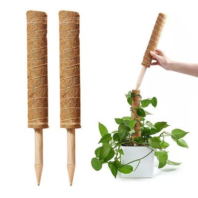 China Plant Climbing 40cm Hot Sale Plant Coir Totem Poles Climbing Coconut Tree Sticks Moss Pole For Support Vines Plant To Grow Up for sale