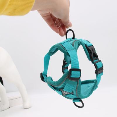 China Customized Sustainable Pet Collars For Dog And Cats Colored Nylon Dog Pet Collar With Plastic Buckle From Pet Products Suppliers for sale