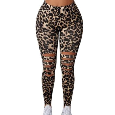 China Anti-Wrinkle Graphic High Waisted Pattern Leggings For Women Leopard Print Pants Workout Yoga Pants for sale