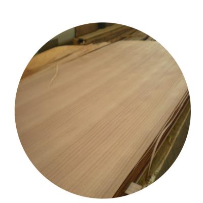 China Indoor Custom Logos Plywood Bamboo Wood Veneer Ash Artificial Supporting OEM for sale