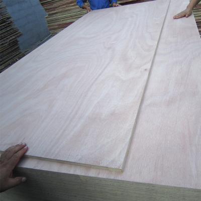 China Indoor Most Popular Red Oak Veneer Plywood PVC Poplar LVL Low Price for sale