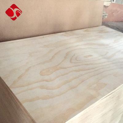 China Indoor factory supplying scaffold plank wood material white pine wood plywood with sale price for sale