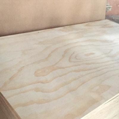 China Indoor high quality hpl compact panel plywood bonded laminated timber insurance for sale