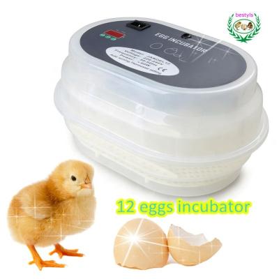 China High quality JN12 egg incubator / JANOEL12 full automatic control mini egg hatcher chicken incubator egg incubator for sale for sale