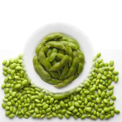 China Healthy Food Customized Hot Sale Frozen High Quality IQF Edamame With Wholesale Price for sale