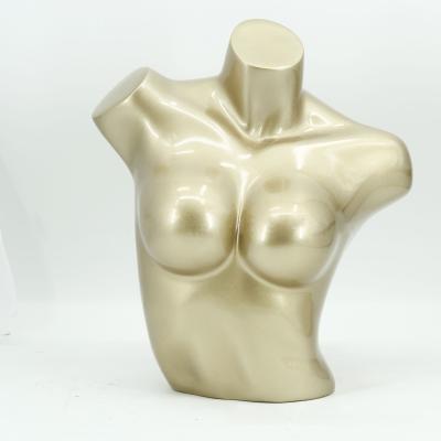 China The Other Cheap Transparent Mannequin With Plastic Female Mannequin For Woman Showcase Mannequin for sale