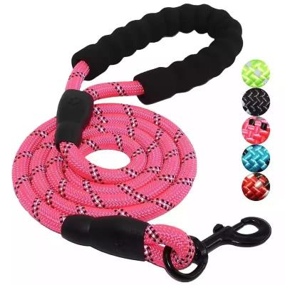 China Thoughtful DETACHED Mountaineering Rope Dog Leash With Locking Swivel Rope Dog Carabiner Sturdy And Durable Lead for sale