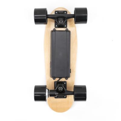 China Outdoor Activities Factory Wholesale OEM&ODM Hub Cheap Mini S5 Motorized Electric Skateboard Remote Control Skateboard for sale