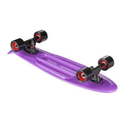 China Cheapest Price Manufacturer of Outdoor Activities Plastic Skateboard Art Skateboard Kid's Longboard 22 Inch for sale