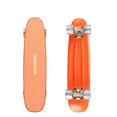 China High Quality Kids OEM 24 Inch Colorful Heat Board Transfer Printing Plastic Custom Skateboards For Kids for sale