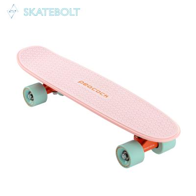 China Professional Kids China Factory Supplier OEM Peacock 24 Inch Cruiser Skateboard Skate Board Plastic Penni Board For Kids for sale