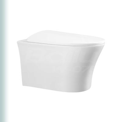 China BAILU W-ELONGED Luxury Sanitary Chinese ADA USA Flush Mounted Ceramic Pot Elongated Wall Cistern Bathroom Ware Toilet Bidet Hung Toilet for sale