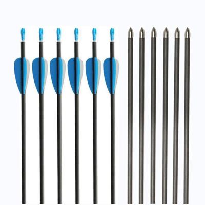 China 500 Point Plastic Spine Shooting Vane Hunting Archery Nock Steel Pure Carbon Arrow Hunting for sale