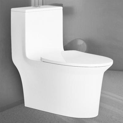 China Double-Flow Soft ARROW PP Seat Cover Round WC Bowl Lavatory One Piece Soft Narrow Toilet for sale