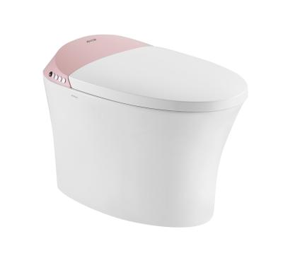 China Automatic Operation ARROW Brand Toilet One-Piece Electronic Smart Automatic Operation Bidet Toilet for sale