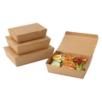 China Disposable Custom Printed Take Away Lunch Box Container Sustainable Disposable Salad Rice Noodle To Go Box with Self-Lock Design No Leak for sale